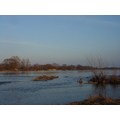 Elbe